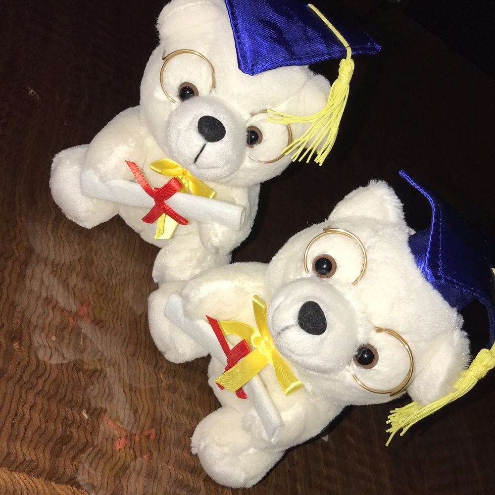 Plush Graduation Bears (2)